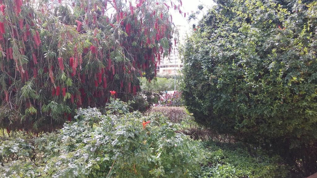 Primavera Sun بورتيماو المظهر الخارجي الصورة